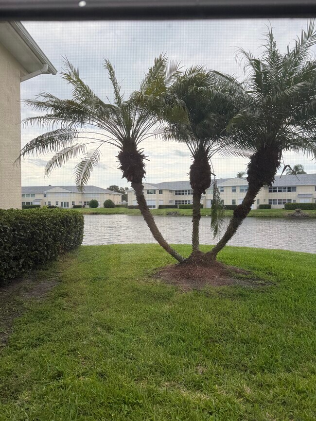 Foto del edificio - 625 W Lake Jasmine Cir