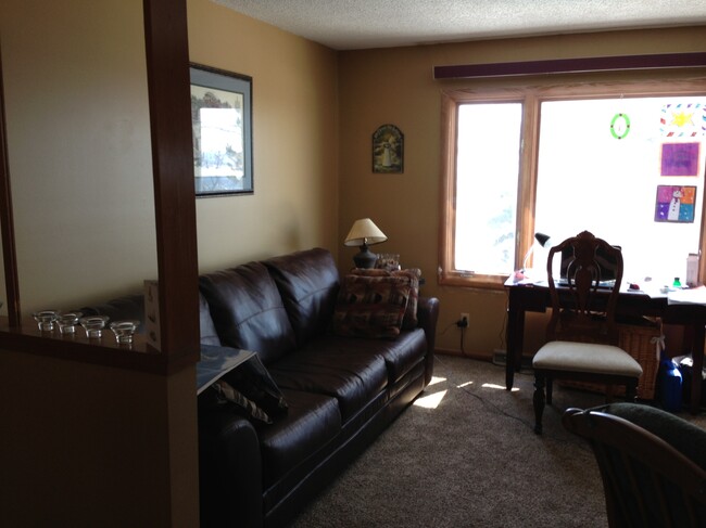 Living Room - 2206 Springvale Ct