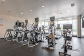 This modern fitness center is thoughtfully designed to support a full range of workout routines across a single, open-plan level. The space is divided into distinct functional zones, each purpose-built to serve different training needs.

The strength training area is generously outfitted with a variety of Matrix-brand selectorized machines, a cable crossover station, free weights, and a flat bench, all arranged to allow comfortable circulation between equipment. Large floor-to-ceiling windows flood this zone with natural light, while full-length mirror panels along the walls enhance the sense of openness and allow users to monitor their form.

The cardio zone features a row of elliptical trainers and spin bikes, complemented by wall-mounted televisions for entertainment during workouts. Dark accent walls and recessed lighting give this area a sleek, focused atmosphere. A separate functional training corner provides stability balls and a seating bench for stretching and accessory work.

Durable rubber flooring runs throughout the entire facility, providing both safety and sound absorption. A built-in dual drinking fountain station is conveniently located near the entrance. Recessed ceiling lights and a clean, neutral color palette contribute to the facility's contemporary and professional aesthetic, making it a practical and inviting space for daily fitness activity.
