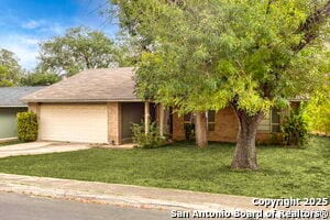 Building Photo - 4214 Briarcrest St