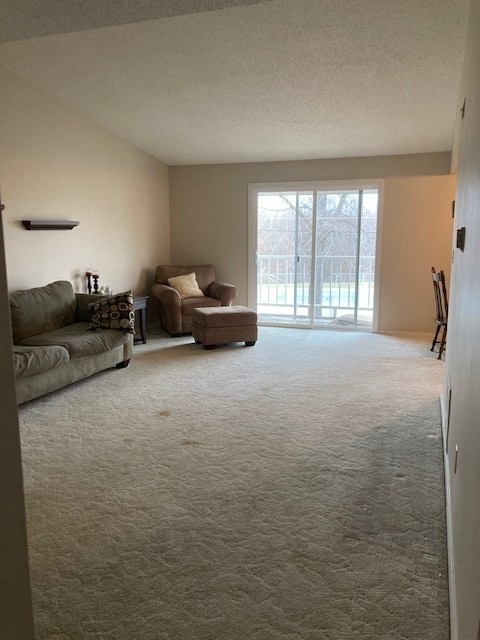 Sala de estar - 806 Huckleberry Heights Dr