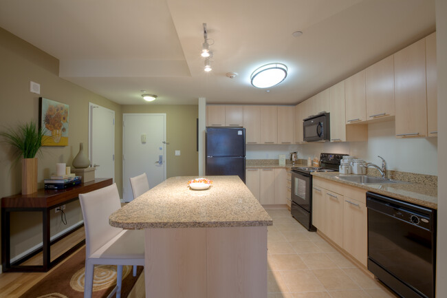 Kitchen - Avalon White Plains