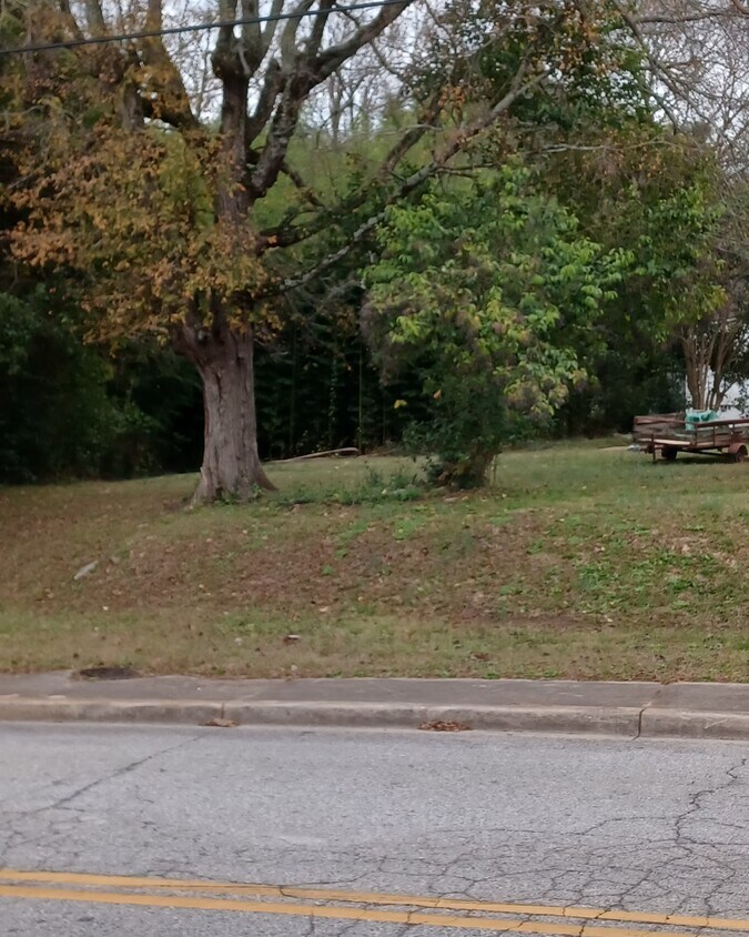 215 Blassingame St, Union, SC 29379 House Rental in Union, SC