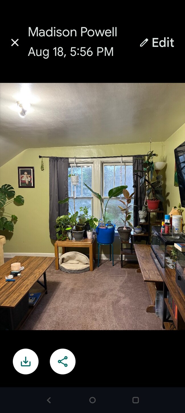 Foto del edificio - 209 Diamond St