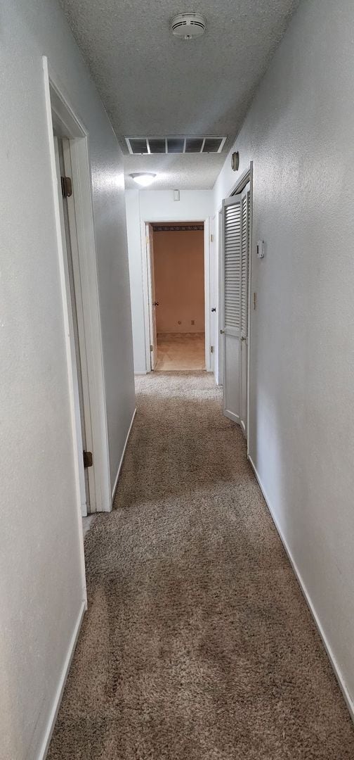 Foto del edificio - Remodeled 4/2 Great neighborhood