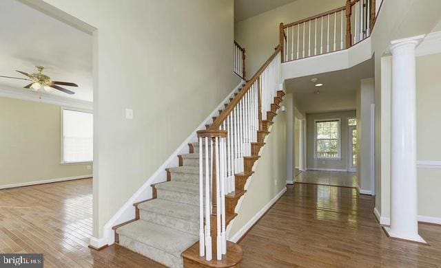 Foto del edificio - 4222 Talon Dr