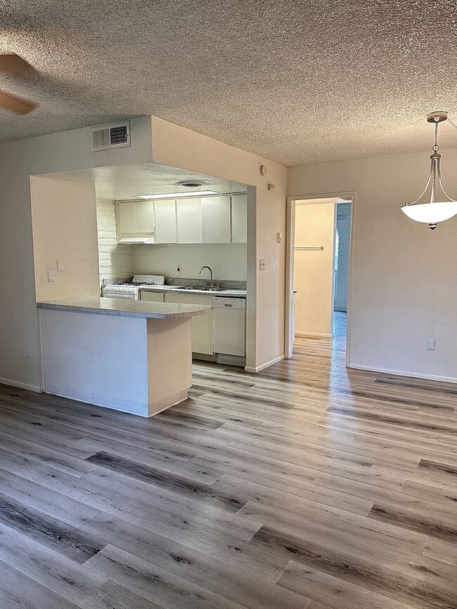 Interior Photo - Oasis in the City