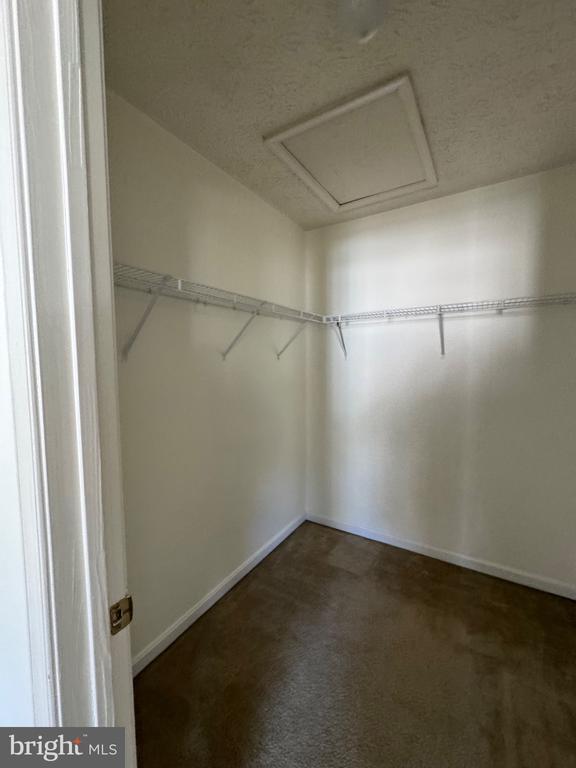 Building Photo - 1604 Briarview Ct