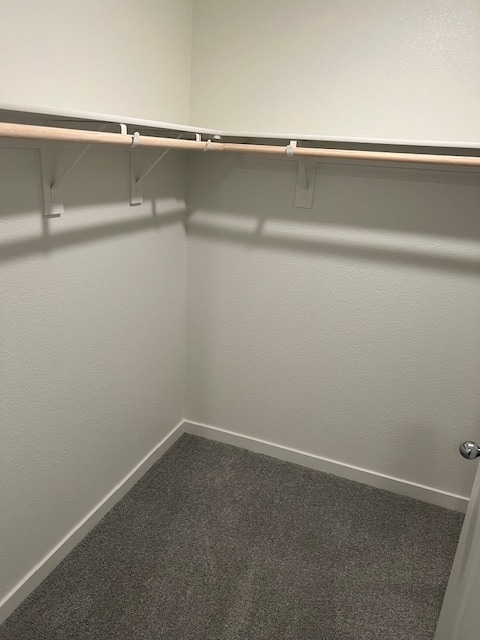 Foto del edificio - 1514 Tarrango St