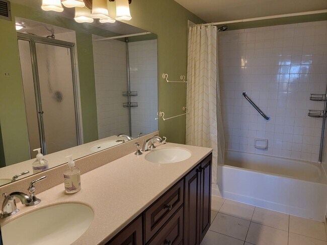 Master Bathroom - 205 Mineola Blvd