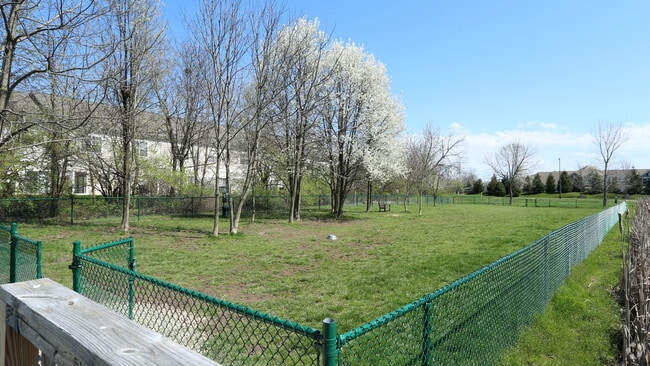 Dog Park - District at Tuttle