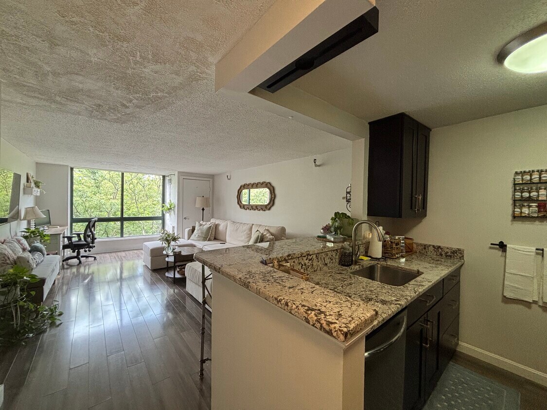 Open Concept - 42 8th St