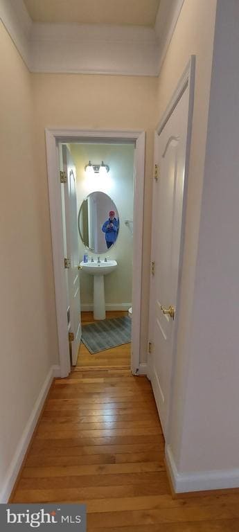 Building Photo - 11808 Regents Park Dr