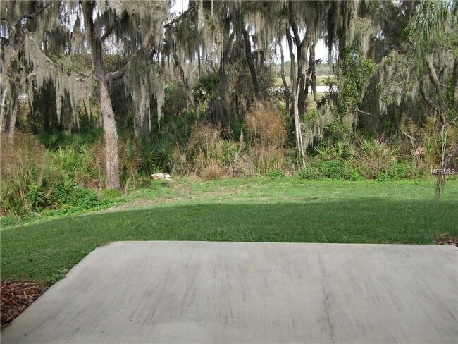 Foto del edificio - 15702 Fishhawk Falls Dr