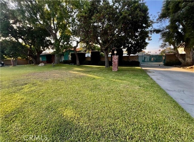 Building Photo - 8541 Orangewood Ave