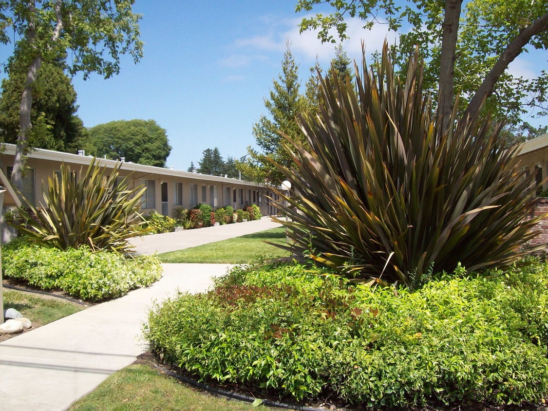 20200 Forest Ave Apartments in Castro Valley, CA