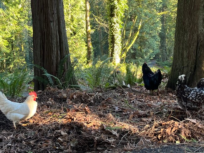 Building Photo - 1220 Carroll Rd