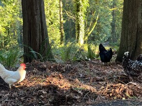 Building Photo - 1220 Carroll Rd