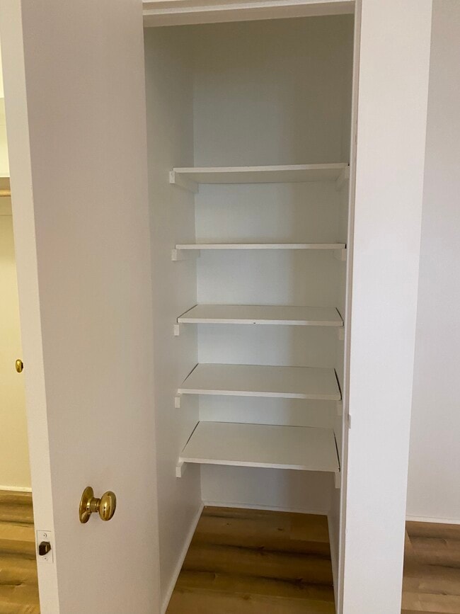 storage closet in living room - 120 S Maple Dr