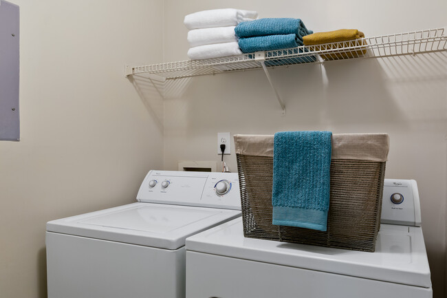 In-Unit Washer & Dryer - Ruby Interior - Ashley Oaks Apartments