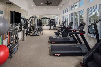 Building Photo - Cielo View