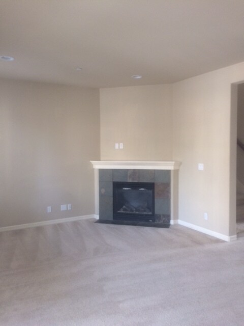 Gas Fireplace - 16415 48th Ave W