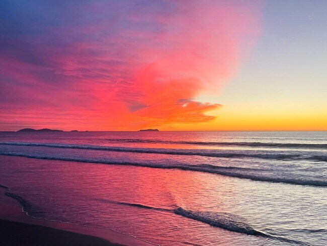 Foto del edificio - 194 Date Ave