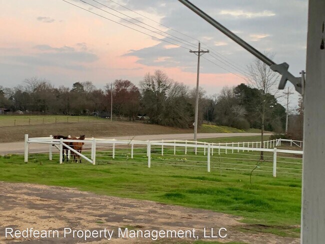 Building Photo - 3 br, 2 bath House - 2032 Texas SH 338
