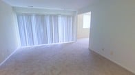 This single-floor space offers a clean, open layout designed for comfortable everyday living. The main living area is generously proportioned, featuring wall-to-wall carpet in a neutral tone that lends warmth and cohesion to the interior. A striking wall of vertical blinds spans the length of one side of the room, filtering abundant natural light and creating a bright, airy atmosphere throughout. The smooth, white walls and simple ceiling design contribute to a sense of openness and simplicity. An open passageway connects the main living area to an adjacent room, which benefits from its own window, further enhancing the flow of natural light through the space. The consistent neutral color palette across the flooring and walls creates a versatile backdrop well-suited for a variety of interior arrangements. The overall ambiance is calm and understated, with a functional, straightforward layout that maximizes usable floor space. The single-floor configuration ensures easy accessibility and seamless movement between areas, making the space practical and welcoming.