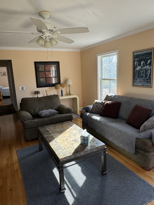 Living room - 970 Shell Bluff Dr