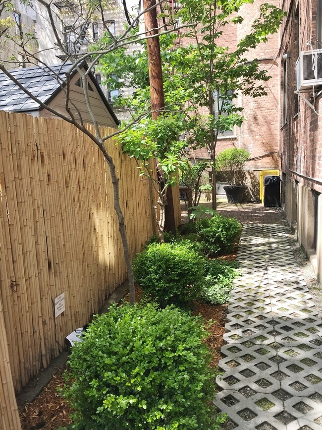 Shared garden / backyard - 960 Sterling Pl