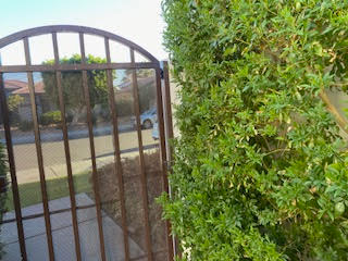 Foto del edificio - 74637 Waterlily Cir