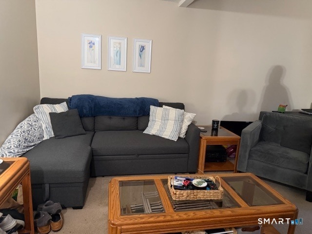 Foto del edificio - 113 Heather Ridge