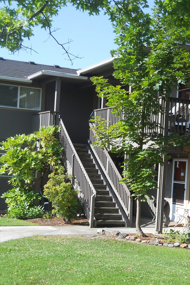 Pine Tree Apartments in Winston, OR