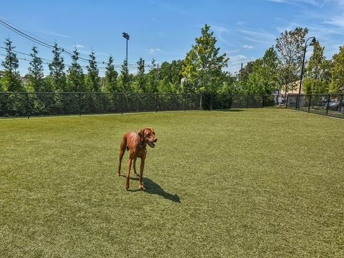 Foto del edificio - 135 Passaic Ave