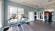 Located at Enterprise Way in Maryville, Tennessee, this fitness center offers a well-appointed, single-story space designed to support a comprehensive workout experience. The interior is finished with soft blue walls accented by crisp white crown molding, creating a clean and inviting atmosphere throughout. Durable rubber flooring covers the workout areas, providing both safety and functionality for a range of exercises.

The space is divided into distinct workout zones. One area is dedicated to cardio equipment, housing multiple treadmills and elliptical trainers from TRUE Fitness, positioned to take advantage of the abundant natural light streaming through large, white-framed windows that overlook the surrounding landscaping. Ceiling fans overhead contribute to comfort during workouts. A second area accommodates strength training, featuring a cable machine, adjustable weight bench, and a dumbbell rack, with a full-length wall mirror enhancing the sense of space and allowing users to monitor their form.

Additional amenities include a water station near the entrance and glass-panel doors that connect sections of the facility. Recessed lighting supplements the natural light, ensuring the space remains bright throughout the day. The overall ambiance is functional yet comfortable, offering users a well-rounded environment for fitness.