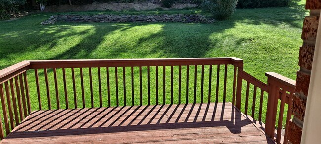Beautiful back yard - 259 Bethel Rd