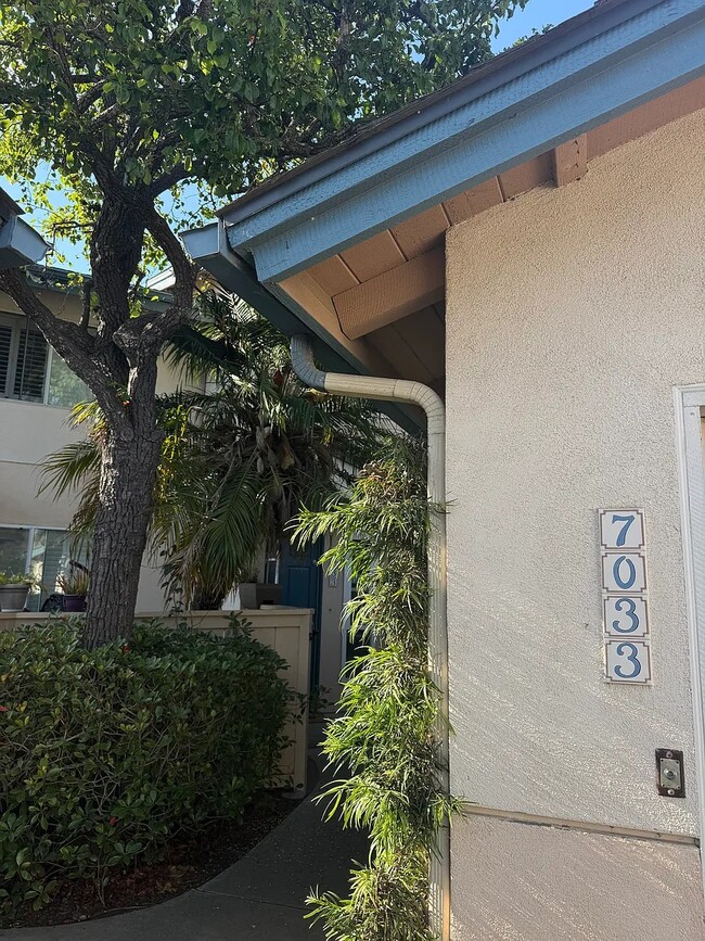 Foto del edificio - 7033 Marymount Way