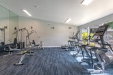 This compact yet fully equipped fitness center offers a practical and comfortable space for residents to maintain an active lifestyle. The layout is efficiently organized into two areas: an entry corridor with hard surface flooring and restroom access, and the main workout floor finished with durable blue-toned carpet tile. The main exercise area features a curated selection of equipment, including treadmills, ellipticals, a stationary bike, a multi-station cable strength machine, a weight bench, free weights, and a medicine ball rack, providing options for both cardio and strength training. A wall of floor-to-ceiling mirrors lines one side of the room, enhancing the sense of space and allowing users to monitor their form during workouts. The vaulted ceiling adds to the open, airy feel of the room, while recessed linear lighting ensures the space is well-lit throughout. Large windows along one wall flood the workout area with natural light and frame pleasant views of the outdoor pool and surrounding landscaping, creating a bright and motivating environment. The clean, white walls and neutral design aesthetic contribute to a fresh and functional atmosphere throughout the facility.
