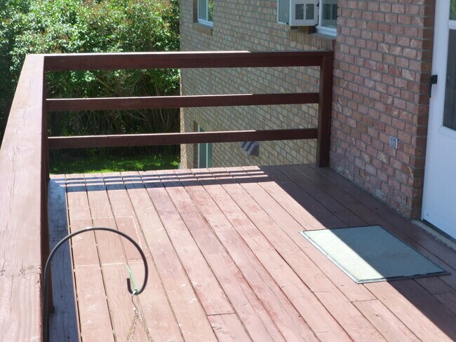 rear patio - 1536 16th St