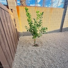 Building Photo - 1526 Tilman Ln