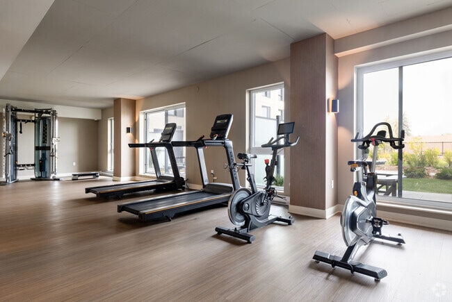 Gym - Westpark