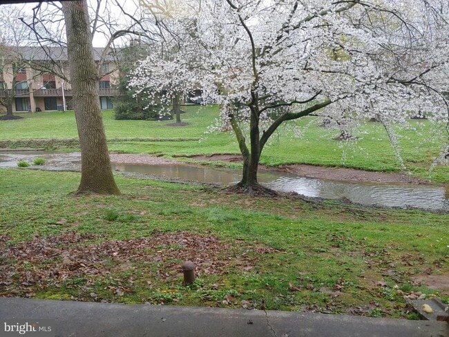 Foto del edificio - 214 Stonybrook Dr