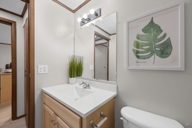 Interior Photo - The Falls at Arlington