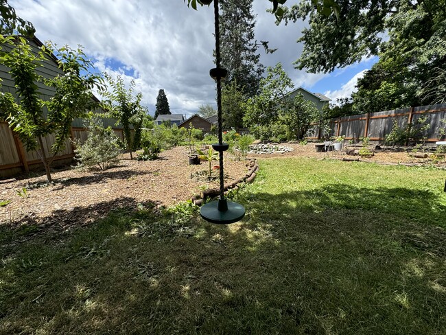 backyard - 4243 SE 80th Ave