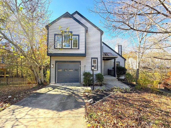 Lake Ridge Gem: Your Inviting Home Awaits! - Lake Ridge Gem: Your Inviting Home Awaits!