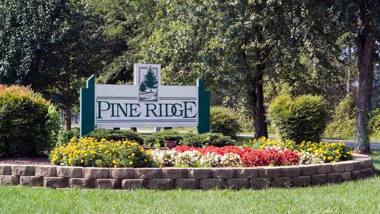 Primary Photo - Pine Ridge