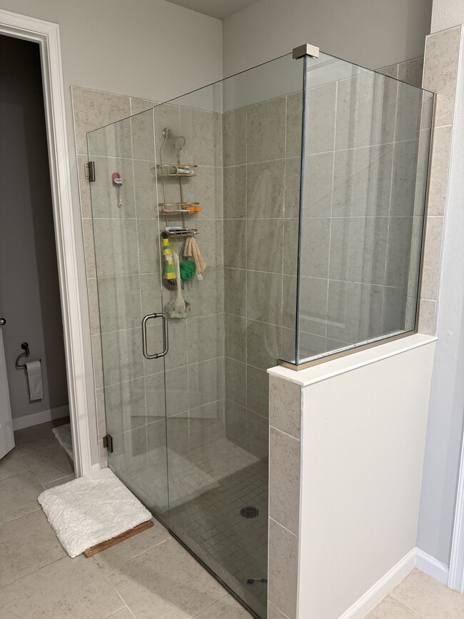 Master bath - 10288 Bonavie Cove Dr