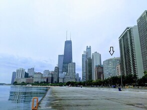 Building Photo - 1150 N Lake Shore Dr