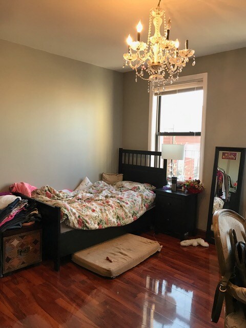 Building Photo - 243 Nassau Ave